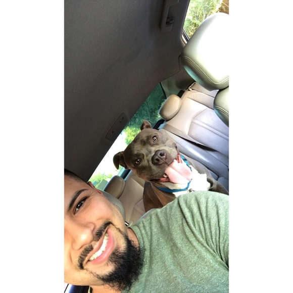 Meet your Posher, Ricky - Picture 1 of 1